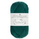 Scheepjes Bamboo Soft 50 gram 1726 - 254 MIGHTY SPRUCE