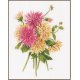 TELPAKKET KIT DAHLIA'S PN-0176229