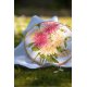 TELPAKKET KIT DAHLIA'S PN-0176229