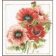 TELPAKKET KIT BOEKET VAN ANEMONEN  PN-0157496