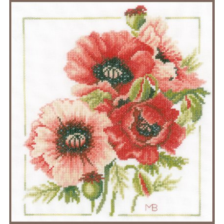 TELPAKKET KIT BOEKET VAN ANEMONEN  PN-0157496