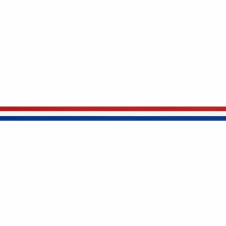 NEDERLANDS VLAGGENBAND 10MM