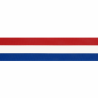 25 mtr NEDERLANDS VLAGGENBAND 38MM