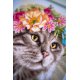 TELPAKKET KIT MAINE COON MET BLOEMENKRANS  PN-0189339 of  PN-0191867