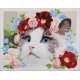 PAINT BY NUMBER KIT RAGDOLL MET BLOEMENKRANS  PN-0194386