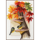 TELPAKKET KIT MEESJES TUSSEN HERFSTBLADEREN PN-0157566