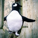 KRUISSTEEKVORMKUSSEN KIT MET RUG EVA M PINGUIN  PN-0196999