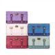 DELLA Q TRAIN CASE 30,5X15,3X12,7CM PETAL 22248