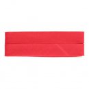 5x5 mtr Dox Biaisband katoen 20mm  63505-20 Rood 743