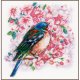 TELPAKKET KIT VOGEL TUSSEN BLOESEM PN-0147275