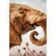TELPAKKET KIT OLIFANTENROEP PN-0194787