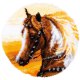 KNOOPVORMTAPIJT KIT WESTERN PAARD PN-0187687
