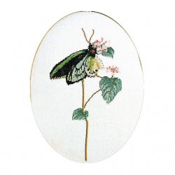 Thea G.Vlinder groen op Aida of Linnen