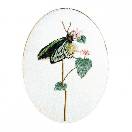 Thea G.Vlinder groen op Aida of Linnen