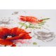 TELPAKKET KIT PAPAVERS  PN-0196178