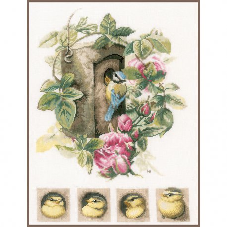 TELPAKKET KIT VOGELHUISJE MET ROZEN  PN-0008031