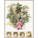TELPAKKET KIT VOGELHUISJE MET ROZEN  PN-0008031