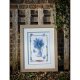 TELPAKKET KIT BLAUWE DRUIFJES PN-0194854