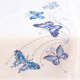 LOPER KIT BLAUWE VLINDERS PN-0145089