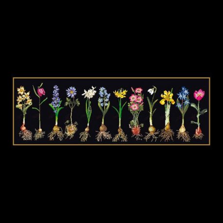 Thea G.Voorjaars Bloemen  op Aida, Aida Zwart of Linnen