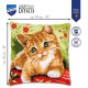KRUISSTEEKKUSSEN KIT LIEVE POES  PN-0195926