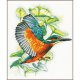 TELPAKKET KIT IJSVOGEL PN-0200091