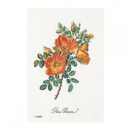 Thea G.Roos - Chazal op Aida of Linnen