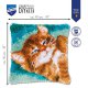 KNOOPKUSSEN KIT SPINNENDE KAT PN-0189644