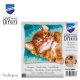 KNOOPKUSSEN KIT SPINNENDE KAT PN-0189644