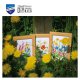 MINIATUUR KIT VELDBLOEMEN SET VAN 3  PN-0148506
