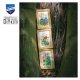 MINIATUUR KIT VELDBLOEMEN SET VAN 3  PN-0148506