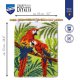 KNOOPTAPIJT KIT PAPEGAAIEN IN DE JUNGLE PN-0194227