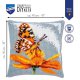 KRUISSTEEKKUSSEN KIT VLINDER  PN-0198668