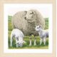 TELPAKKET KIT SCHAPEN