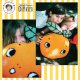 KRUISSTEEKVORMKUSSEN KIT MET RUG EVA M SINAASAPPEL  PN-0202664
