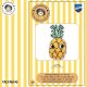KRUISSTEEKVORMKUSSEN KIT MET RUG EVA M ANANAS PN-0202631