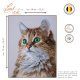 TELPAKKET KIT DE PERFECTE STARENDE BLIK PN-0203542