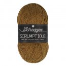 Scheepjes Scrumptious 100 Gram 1737-364