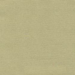 ISSHIKI Sunproof Kiwi 025