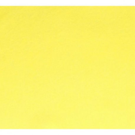 Vilt lapje geel 30x20cm  10100-002