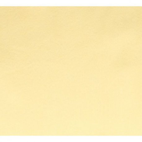 Vilt lapje Beige 30x20cm 10100-009