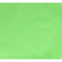 Vilt lapje Groen 30x20cm 10100-017