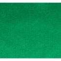 10x Vilt lapje Groen 30x20cm 10100-020