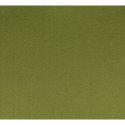 10x Vilt lapje Groen 30x20cm 10100-037