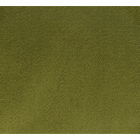 Vilt lapje Groen 30x20cm 10100-055