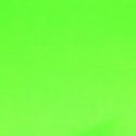 Vilt lapje Groen 30x20cm 10100 Neon1