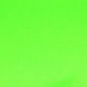 Vilt lapje Groen 30x20cm 10100 Neon1