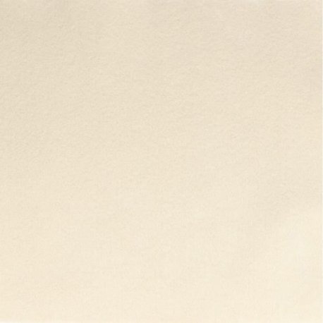 Vilt lapje Grijs 30x20cm 10100 058