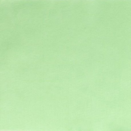 Vilt lapje Groen 30x20cm 10100 061
